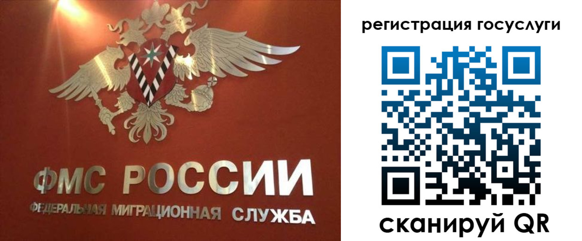 прописка ребенка в Бородино